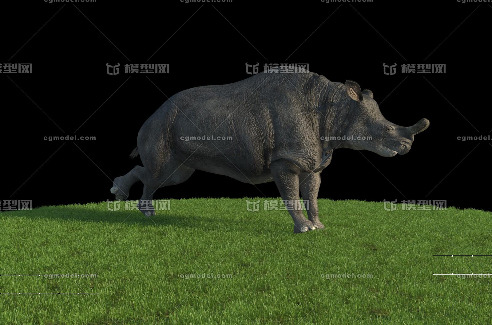 王雷兽跑步 brontotherium 古犀牛 巨角犀 侏罗纪 恐龙 远古巨兽 白垩