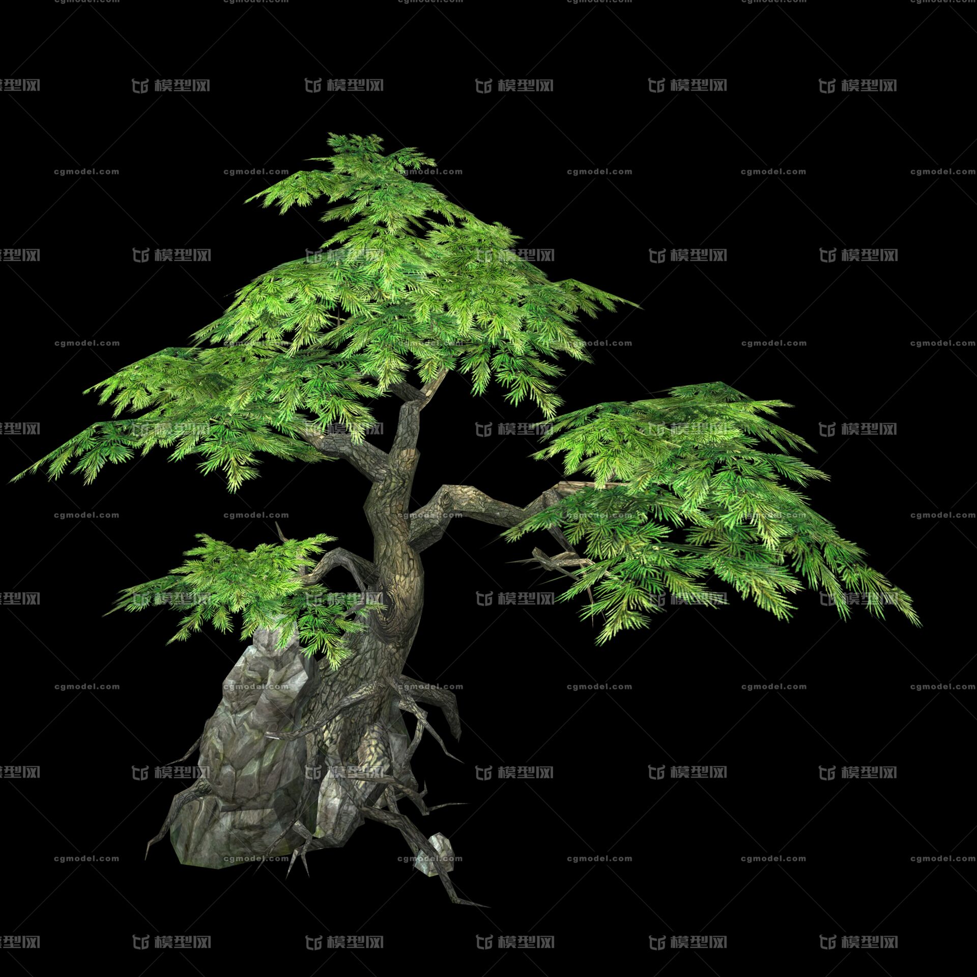 低模 植物树木 树杆 树枝 树桩 树叶 小树 老树 枯树 断树 树头 树桩