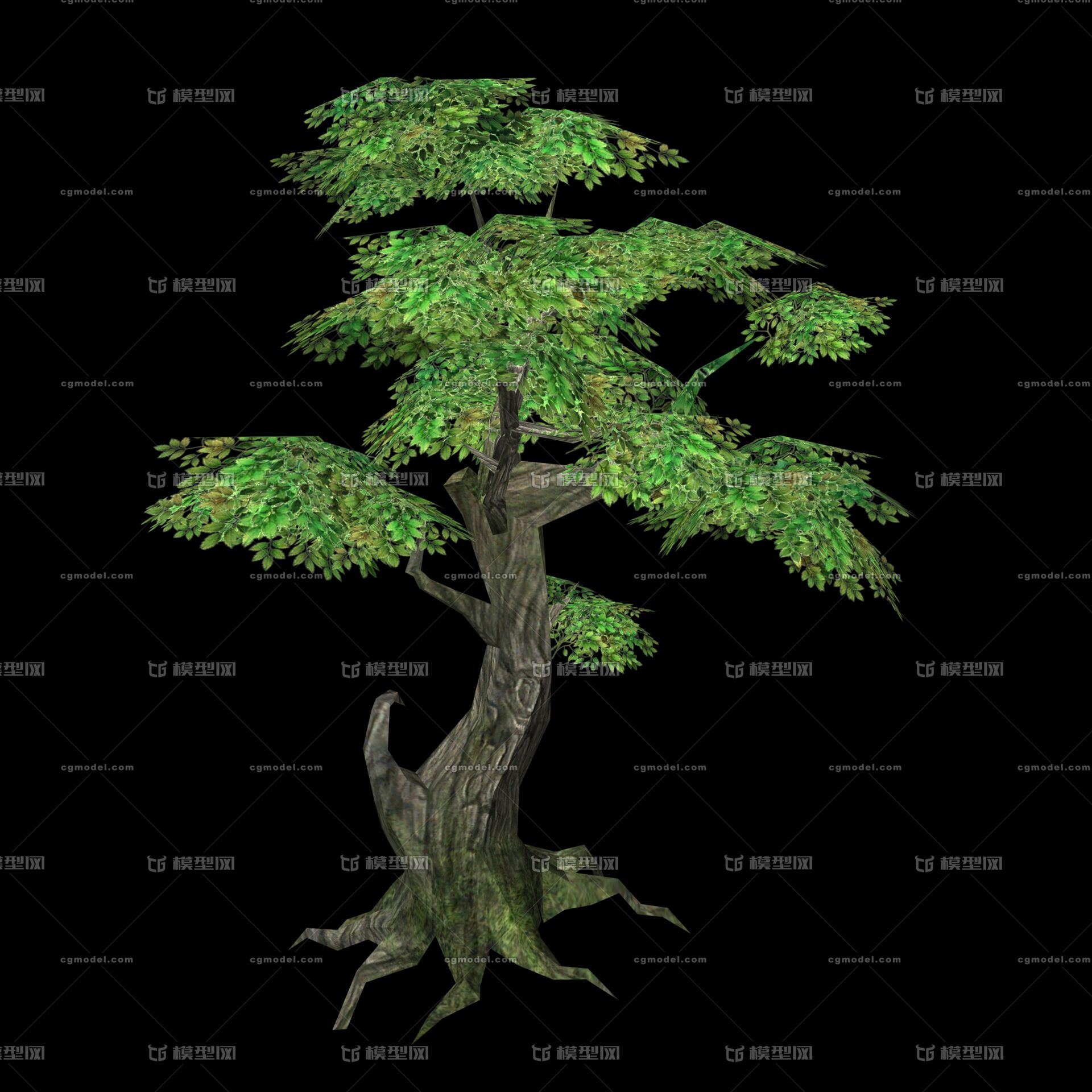 低模 植物树木 树杆 树枝 树桩 树叶 小树 老树 枯树 断树 树头 树桩