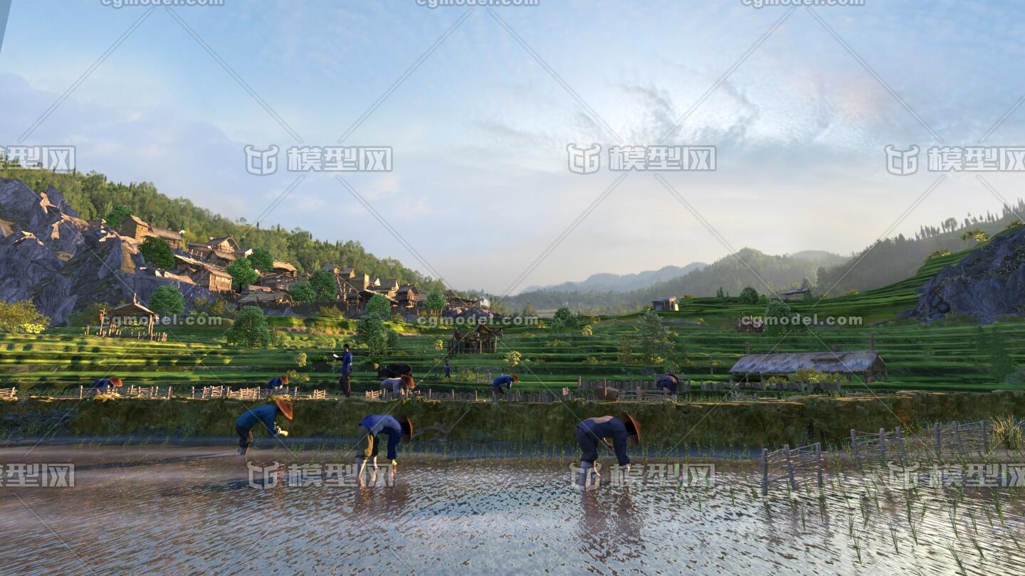 山体 云南 梯田 耕耘 水牛 耕地 插秧 种植 播种 劳动 角色 挑担 水田