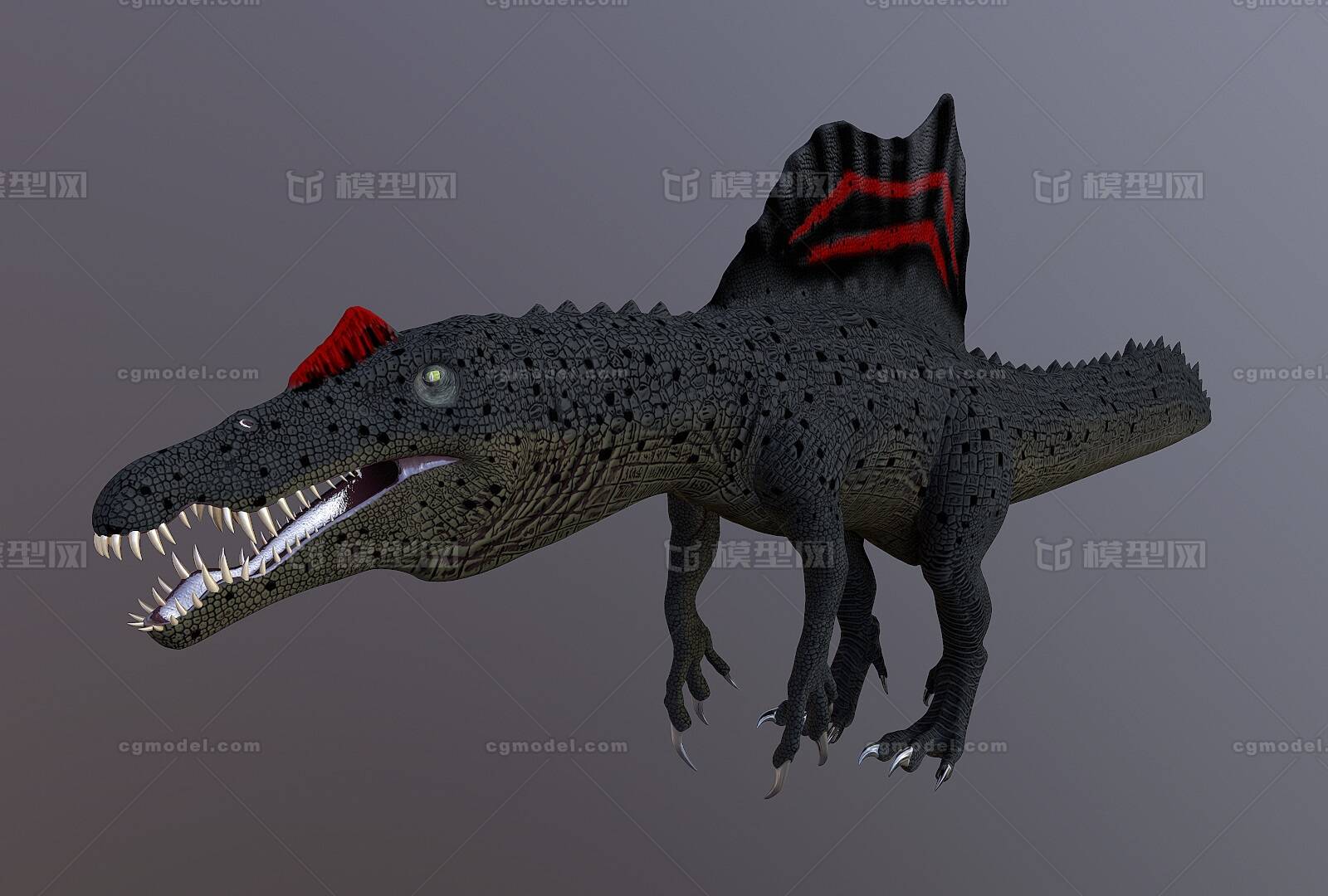 spinosaurus 棘龙 棘背龙 背部有小帆 古生物 恐龙 动物 4k贴图