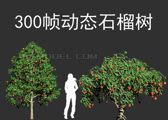 动态石榴树,动态树,风动风场动画,风吹树动,园林庭院景观树