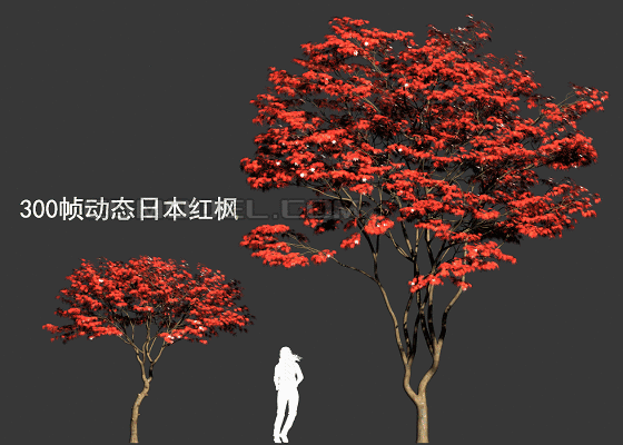 景观园林树,售楼部景观规划庭院园林行道树灌木树球,**低面,有gif图