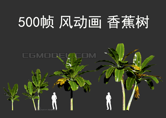 售楼部景观规划庭院园林行道树灌木树球,**低面,有gif图,无缝风场动画