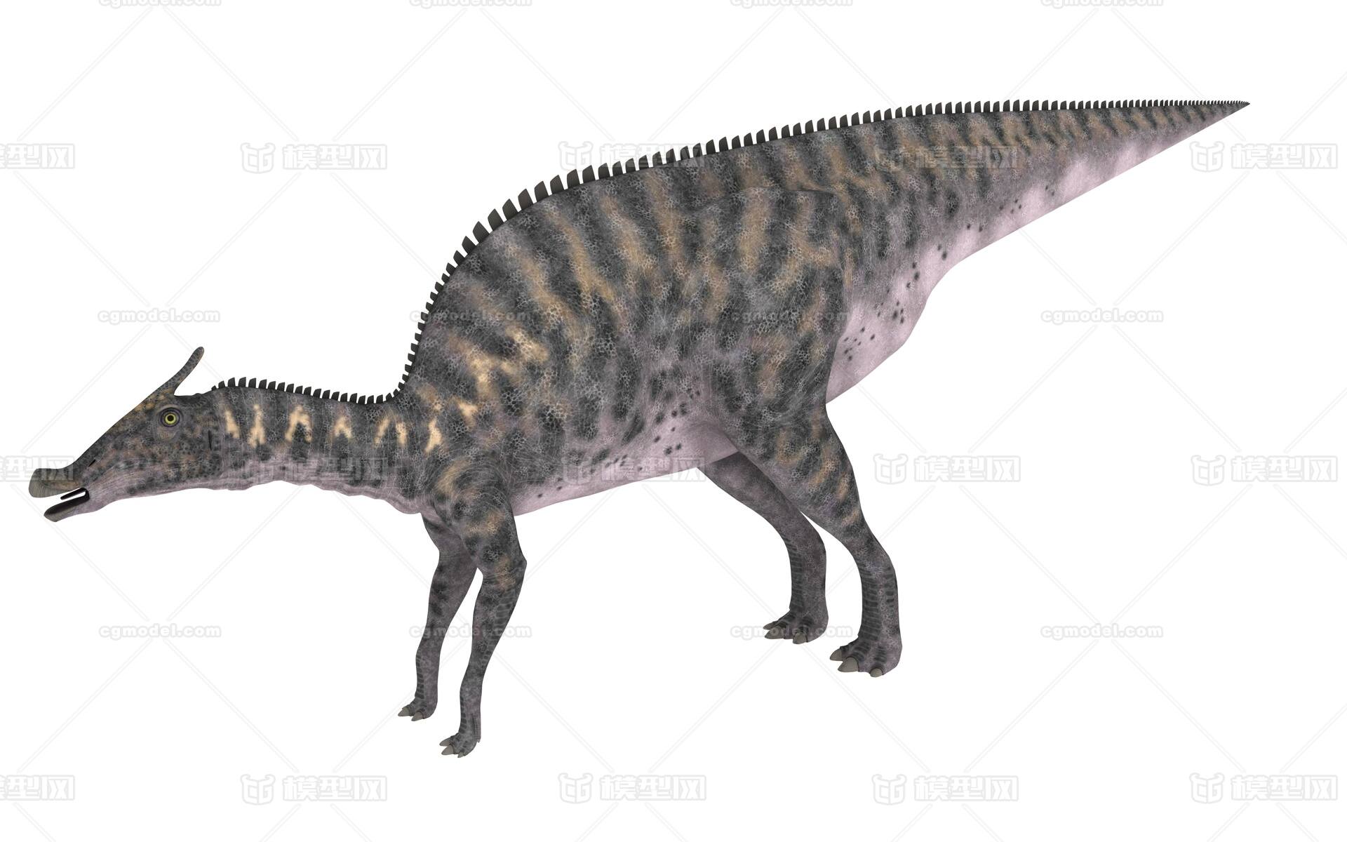 c4d恐龙模型栉龙带贴图带骨骼绑定