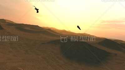 沙漠场景 沙漠雄鹰 鹰飞翔动画 飞鹰动画 戈壁滩 荒漠 沙漠