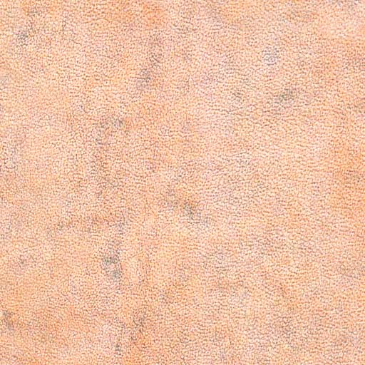 很难得的人体皮肤大全(4)