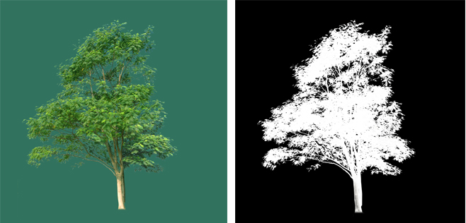 贴图树3000x3000_书籍/资料_cg模型网