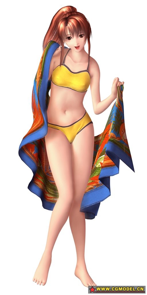 求illusion公司出产的若干游戏模型有些论坛有了