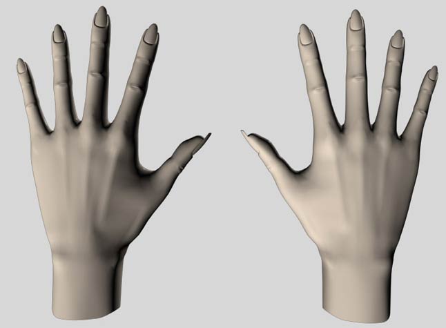 角色建摸,手的制作方法