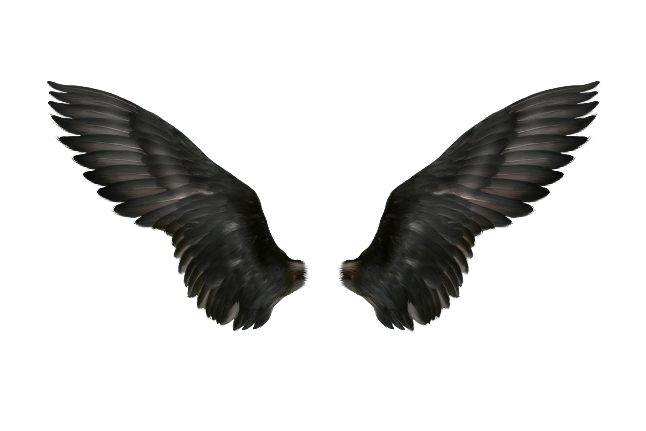 贴图素材 (翅膀)鄙人收藏的东西,较实用.