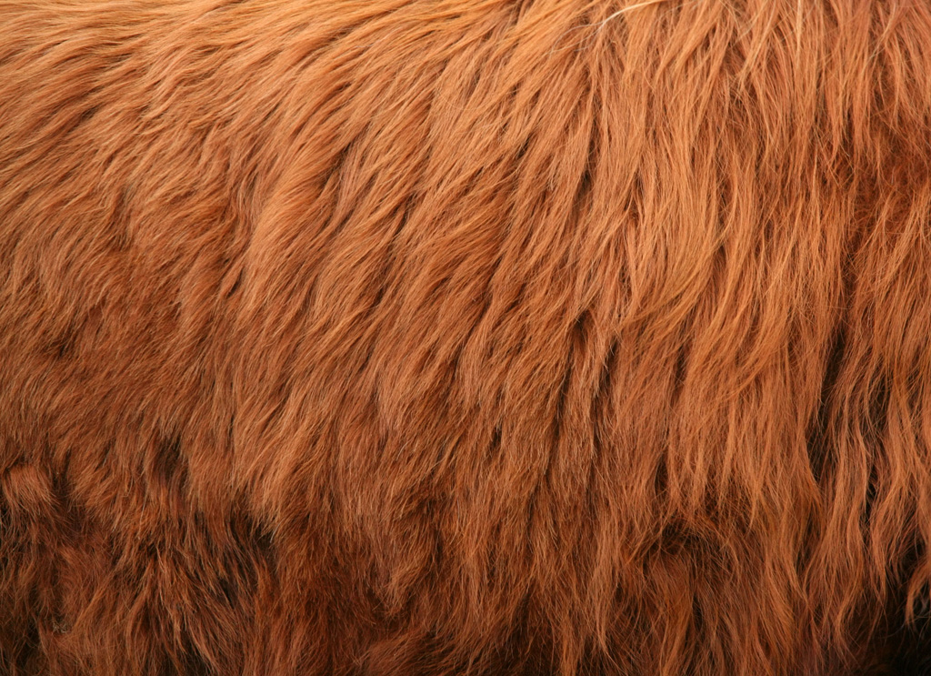 tga,tiiff预览插件