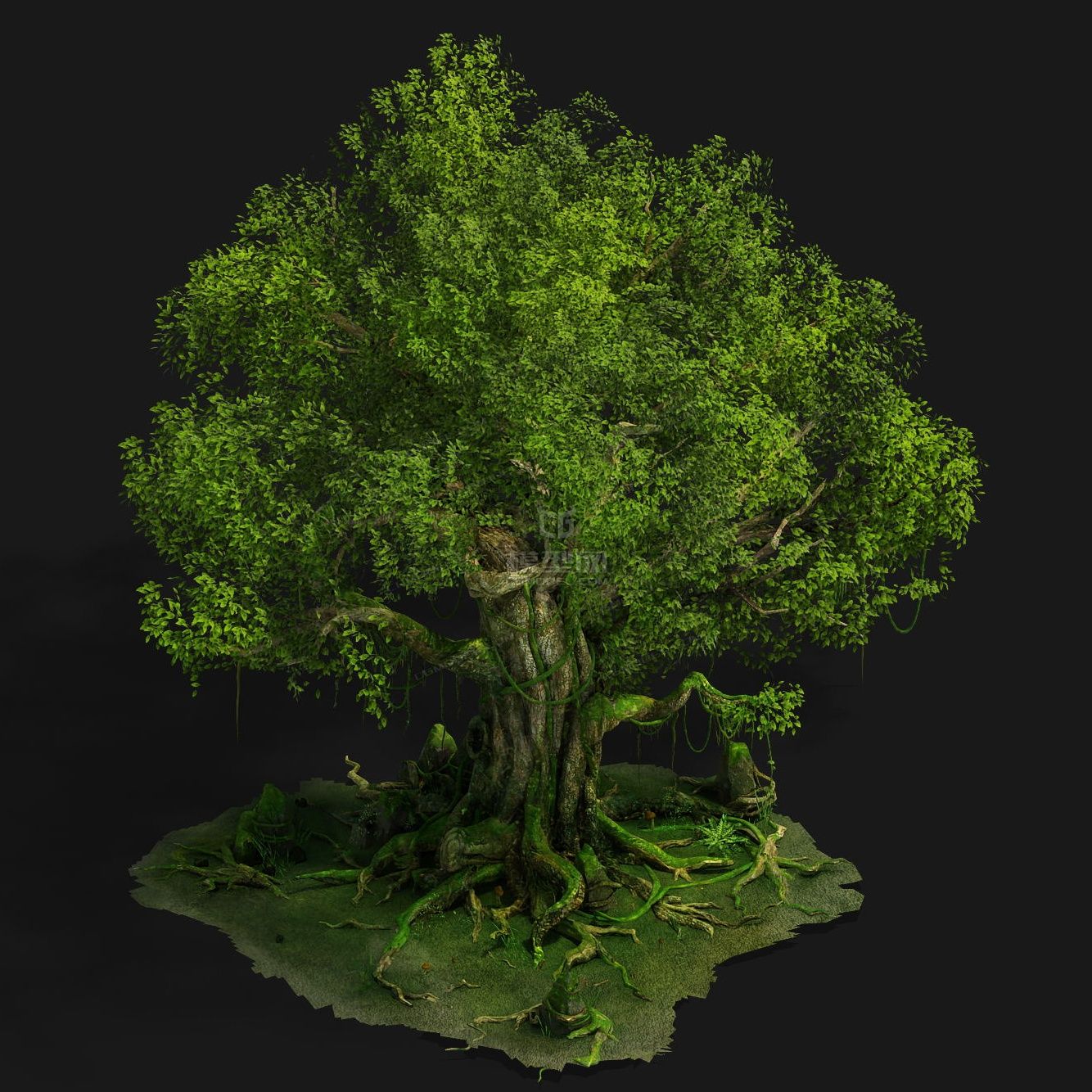 免费-参天大树-古树-榕树-枯树模型-树木模型库-3ds Max(.max)模型下载-cg模型网