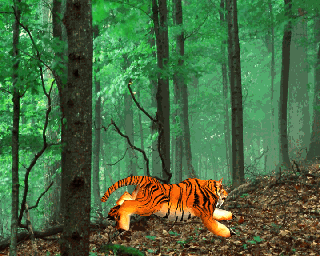 老虎奔跑带贴图骨骼绑定和动画