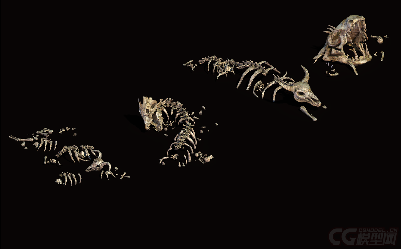 龙骨头怪兽骨头骨头残骸