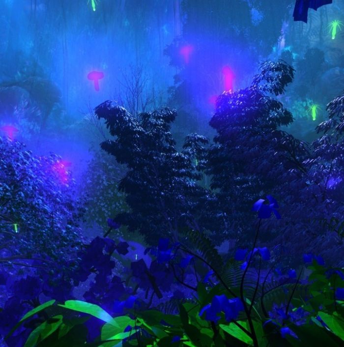 秘境森林,神秘,有粒子和摄像机动画-ma_alai628作品_场景自然场景_cg