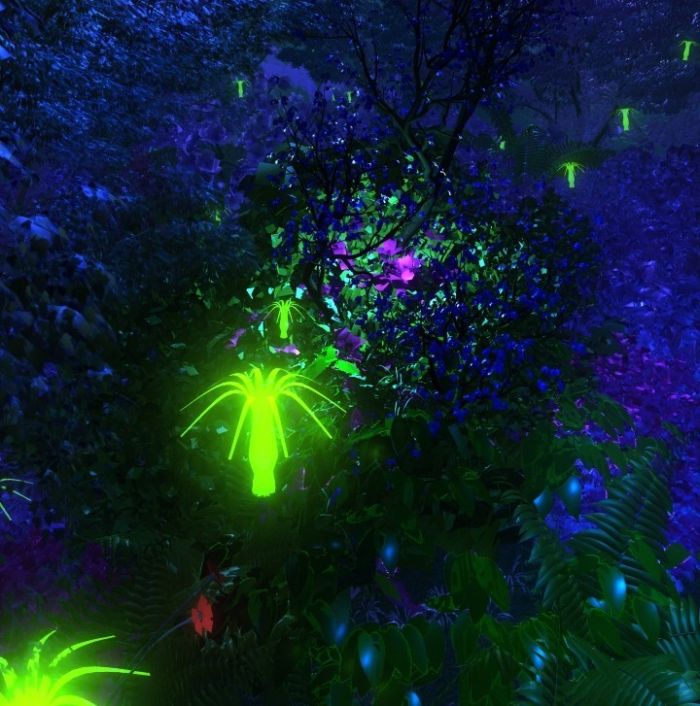 秘境森林,神秘,有粒子和摄像机动画-maya-自然场景-场景-alai628-cg