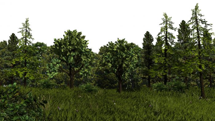 森林maya花草树木带通道贴图齐全