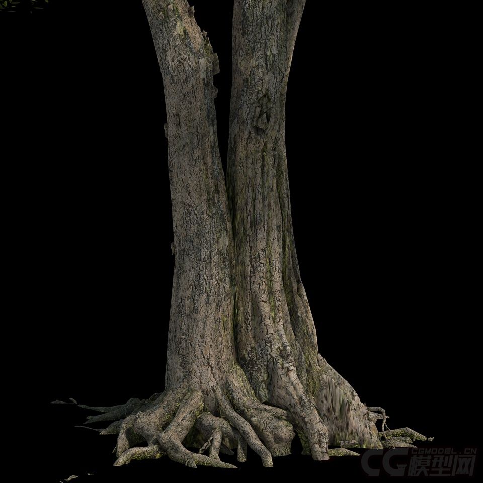 高精模型,古树,枯树,大树,桦树