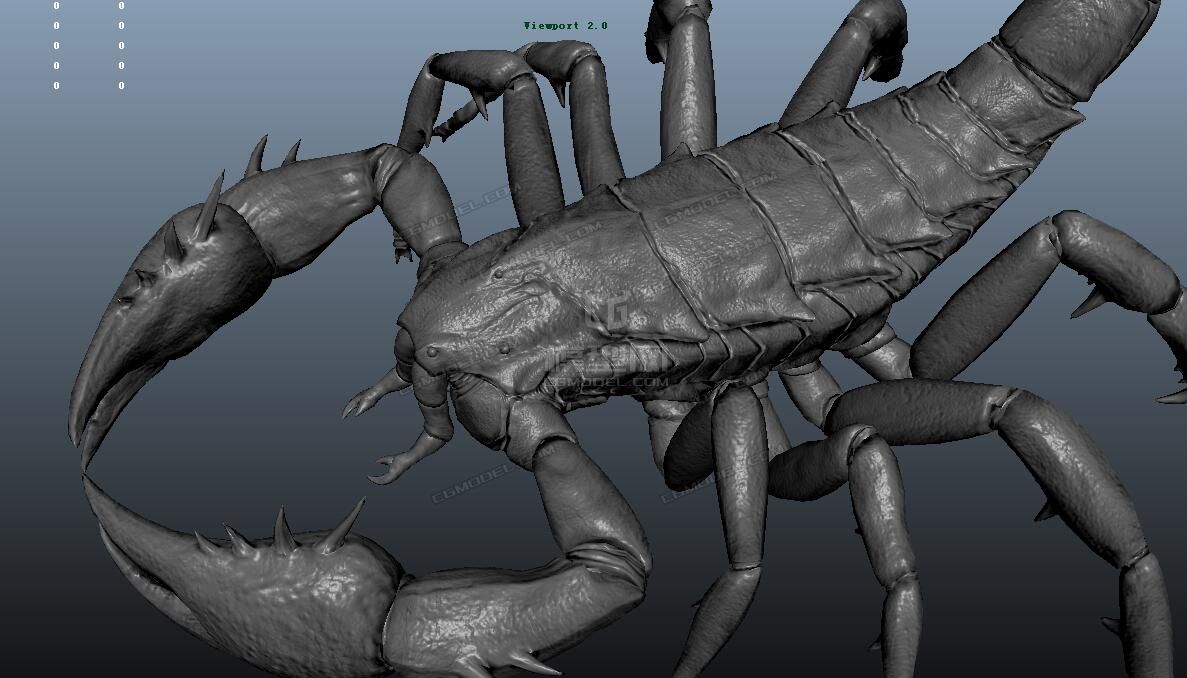 影视级别写实蝎子