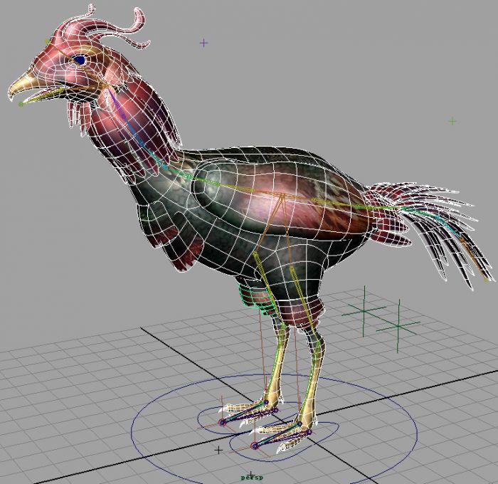 公鸡(斗鸡)_crab123作品_动物哺乳_cg模型网