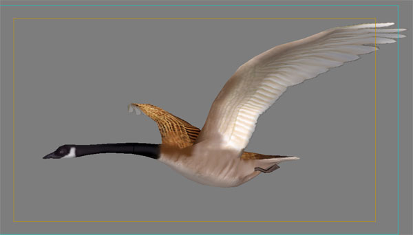 大雁南飞动画模型-飞禽模型库-3ds max(.max)模型下载-cg模型网