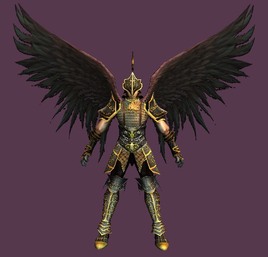 一个带翅膀的战士龙骑士