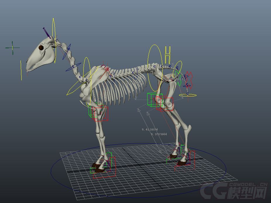 马 马骨骼 骷髅马