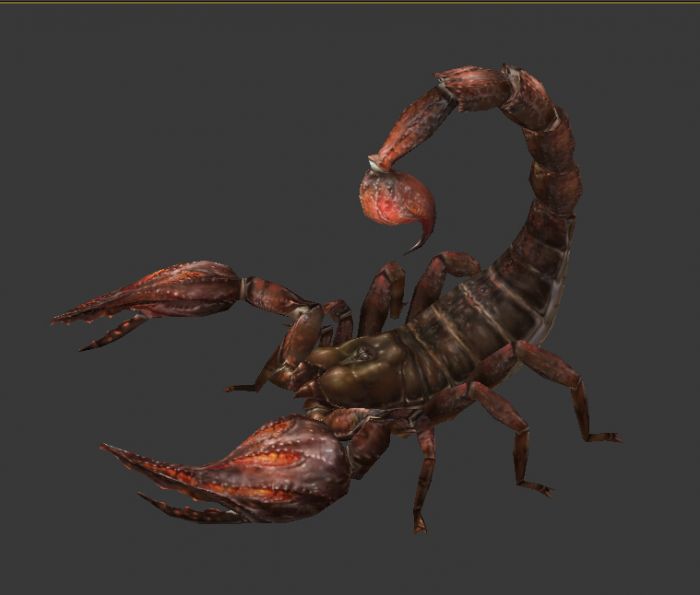怪物蝎子,写实蝎子四边面