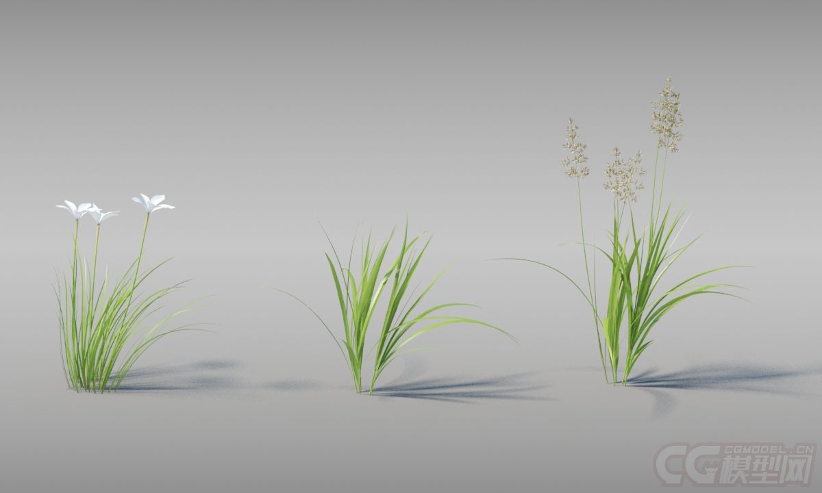 grow fx 树木花草--原文件 max***强牛x植物插件植物库 动态树 动画树