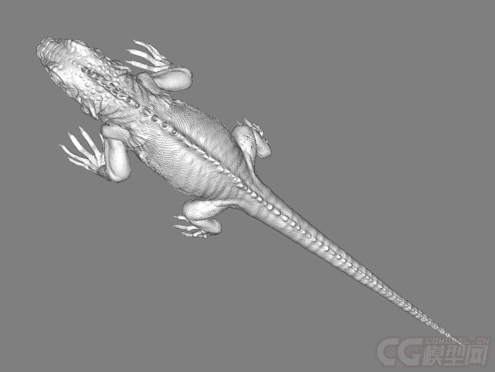 蜥蜴zbrush写实3d模型