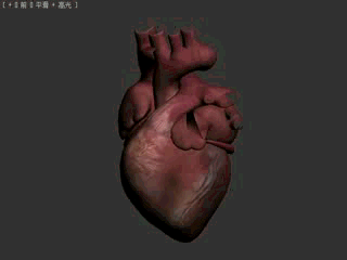 心脏跳动动态模拟图片