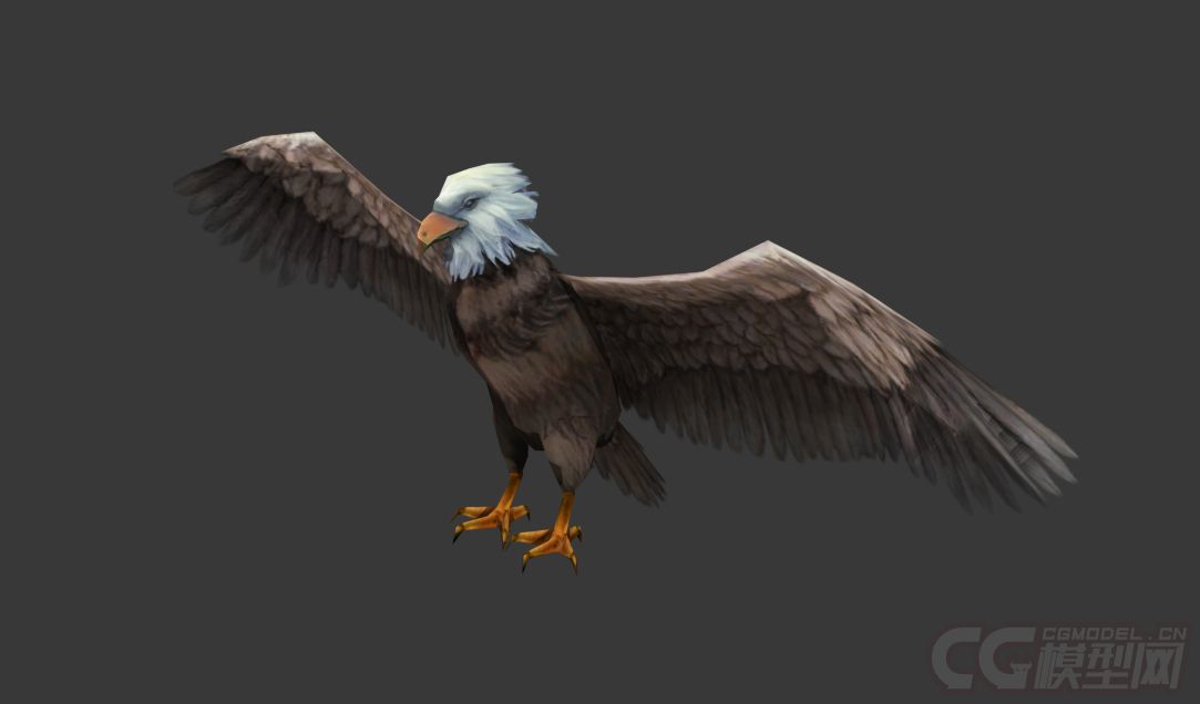 草原飞鹰平原飞鹰老鹰大雕