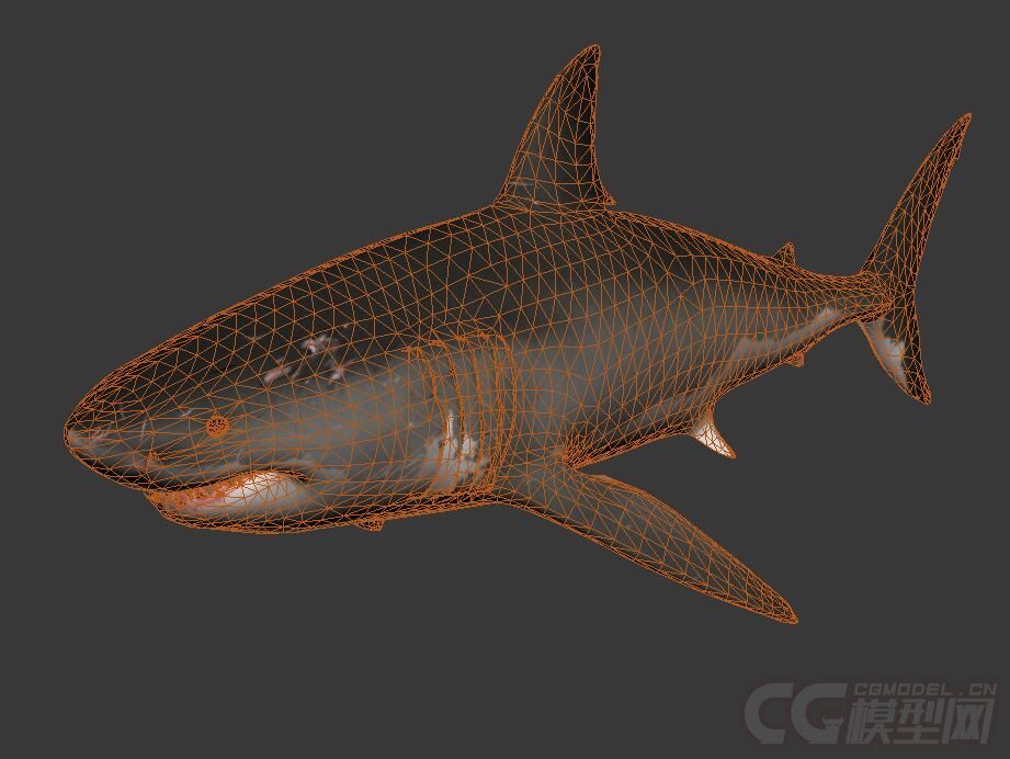 影视级别大白鲨,深海鲨鱼,鲨鱼,海洋海底_十号当铺作品_动物哺乳_cg