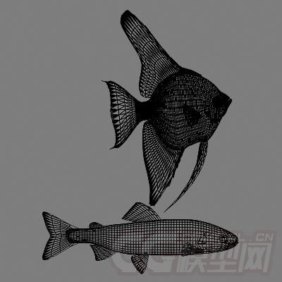 高模鱼群模型共9条有材质无绑定