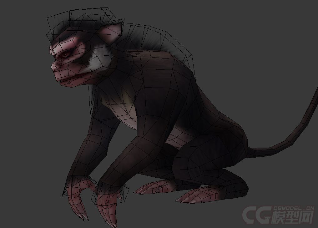 猴子黑猴猿猴石猴