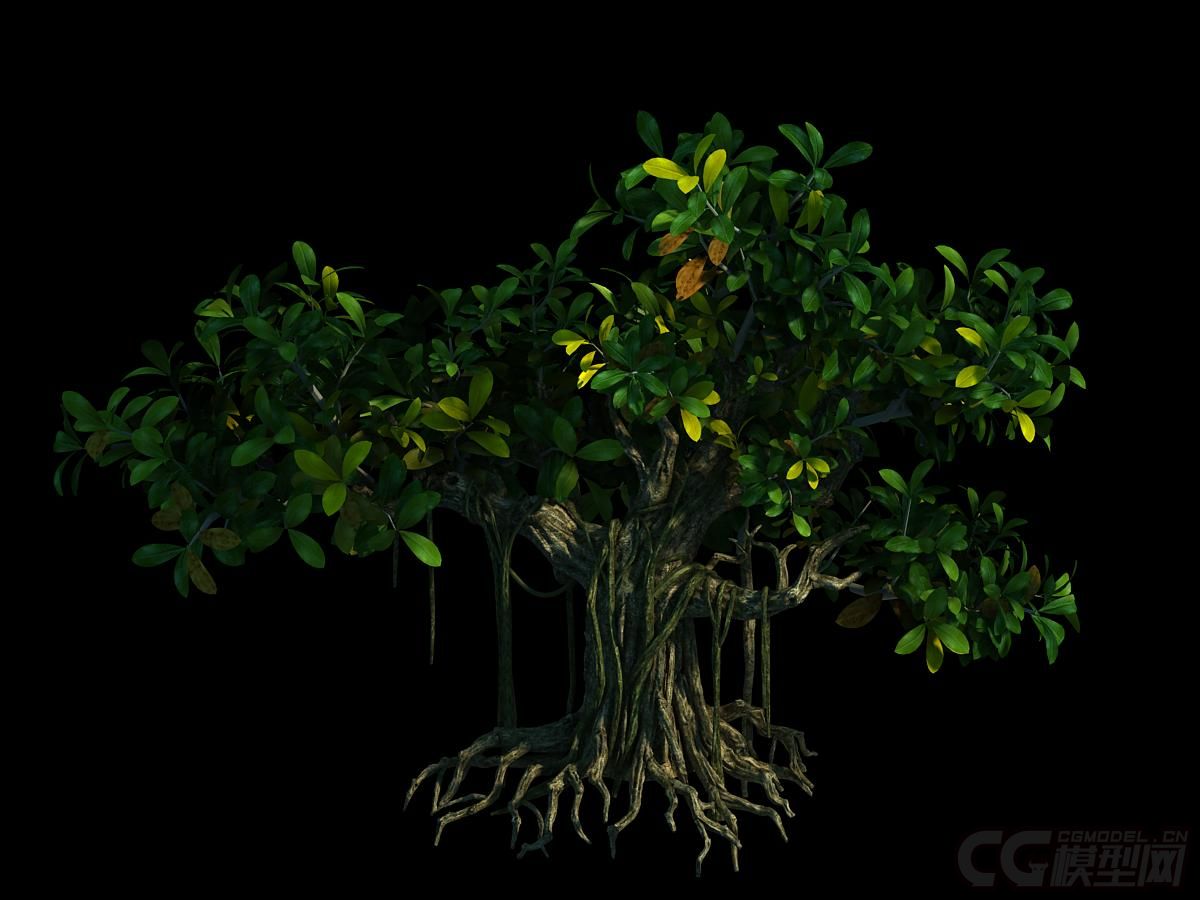 Q版大榕树 卡通树木模型-树木模型库-模型下载-cg模型网
