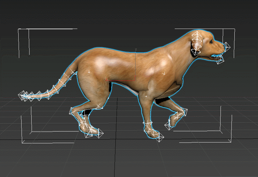 黄狗 狗 狗奔跑 绑定 动画 模型下载 fbx