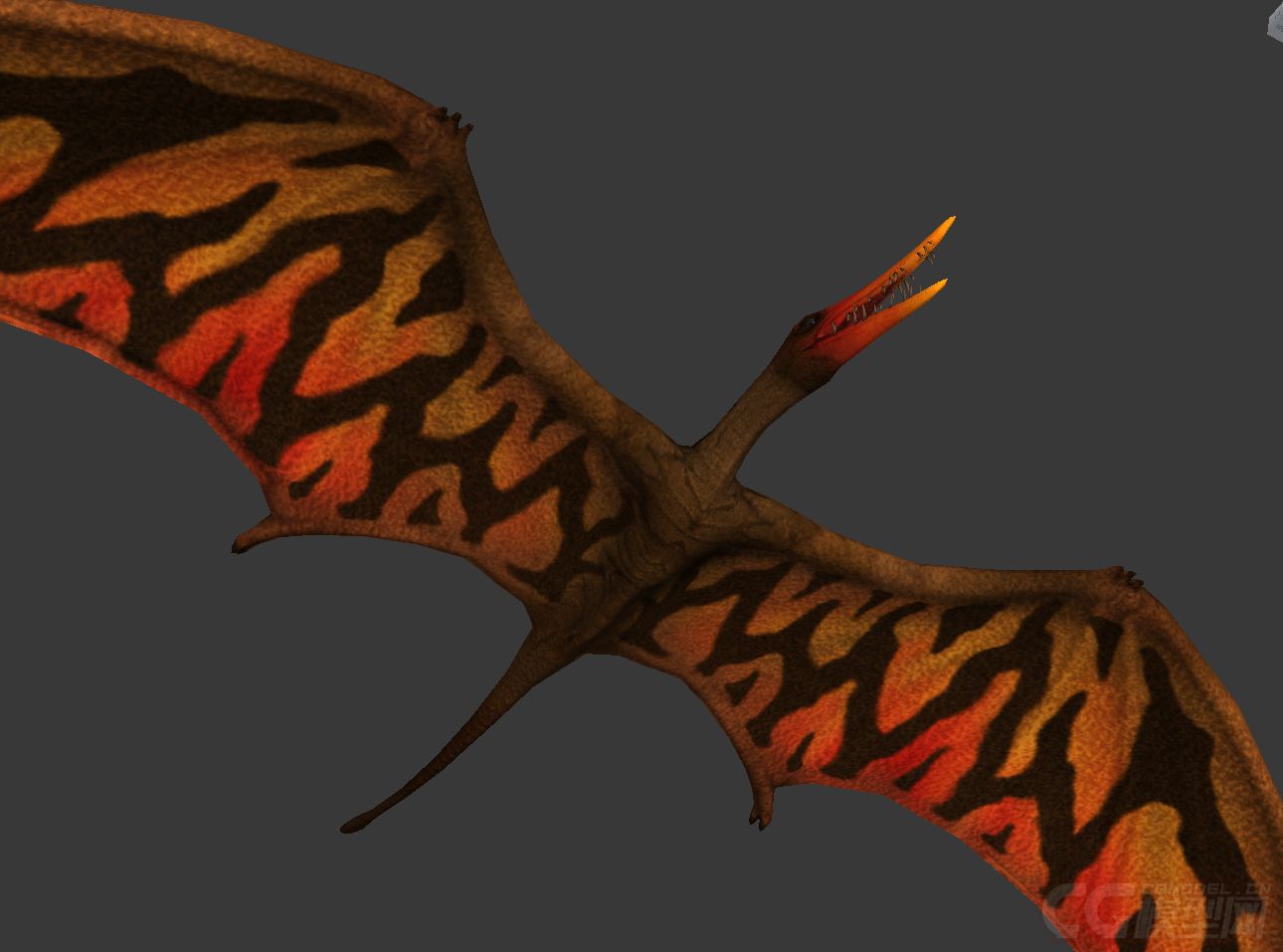 不错的翼龙飞龙恐龙有绑定