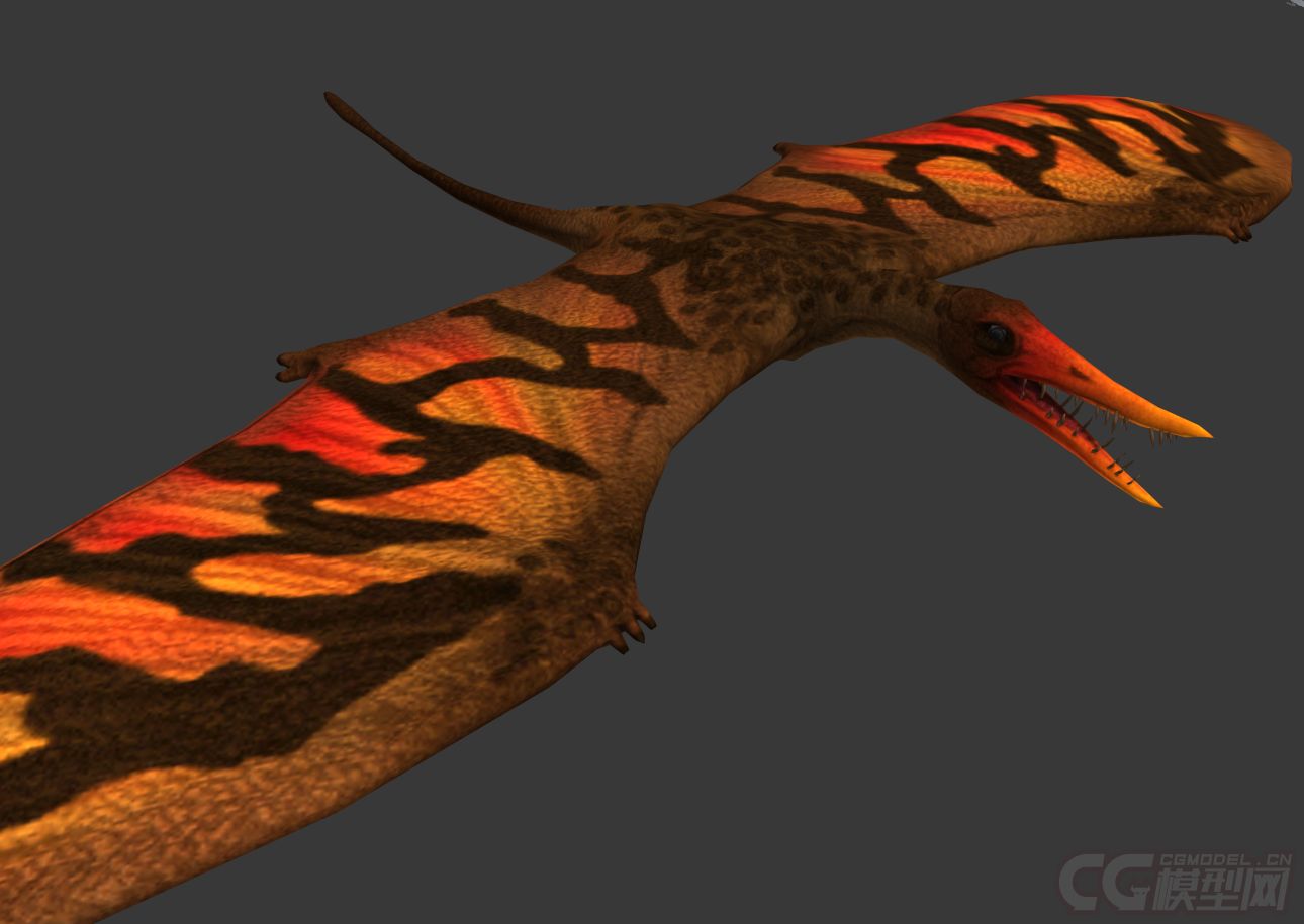 不错的翼龙飞龙恐龙有绑定