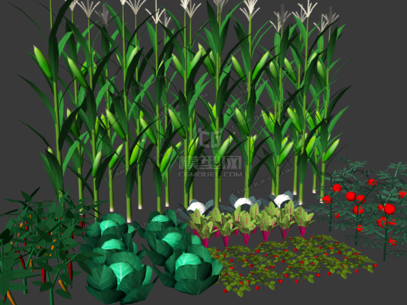 Crops 3d. Vegetable Garden 3d free model.