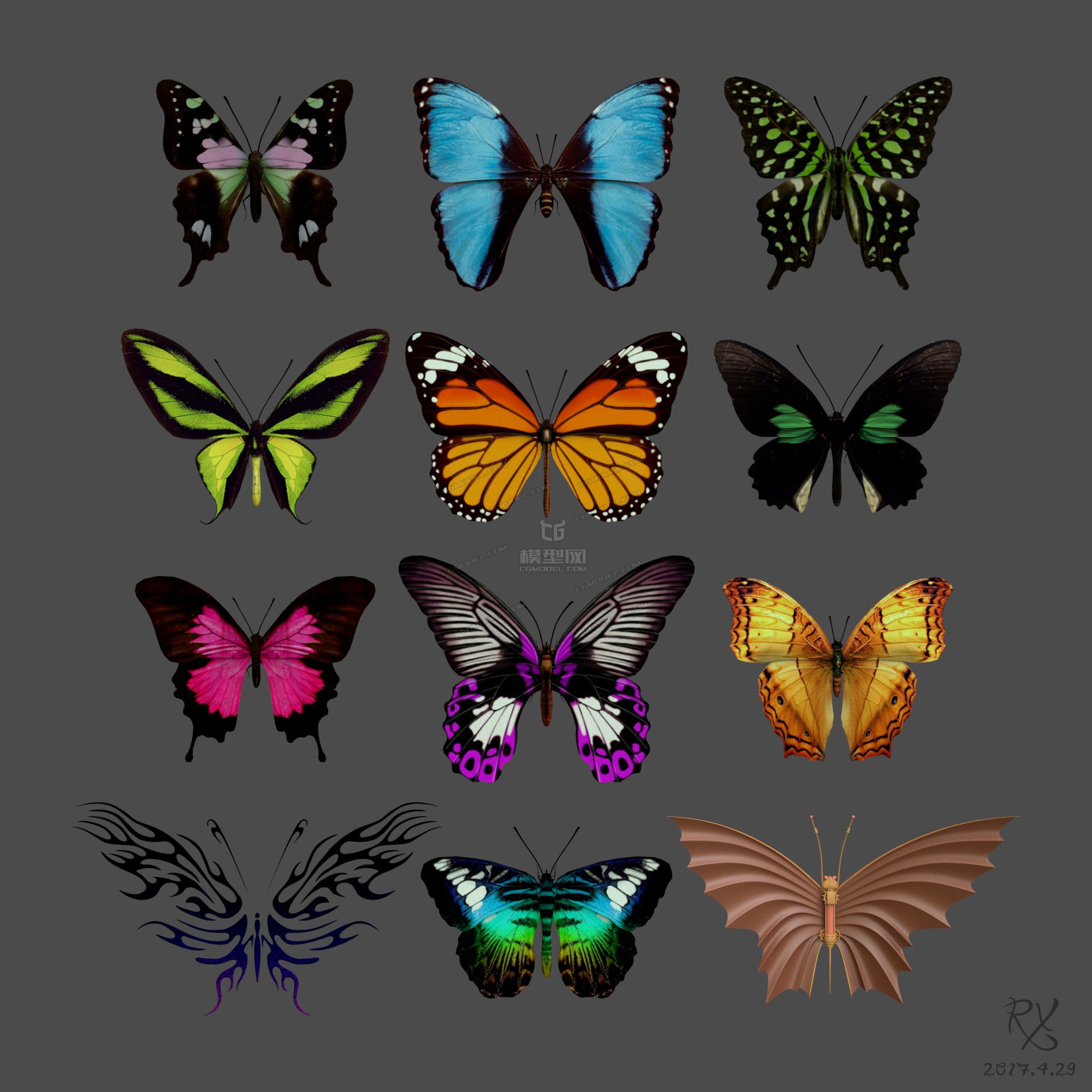 写实蝴蝶模型12只