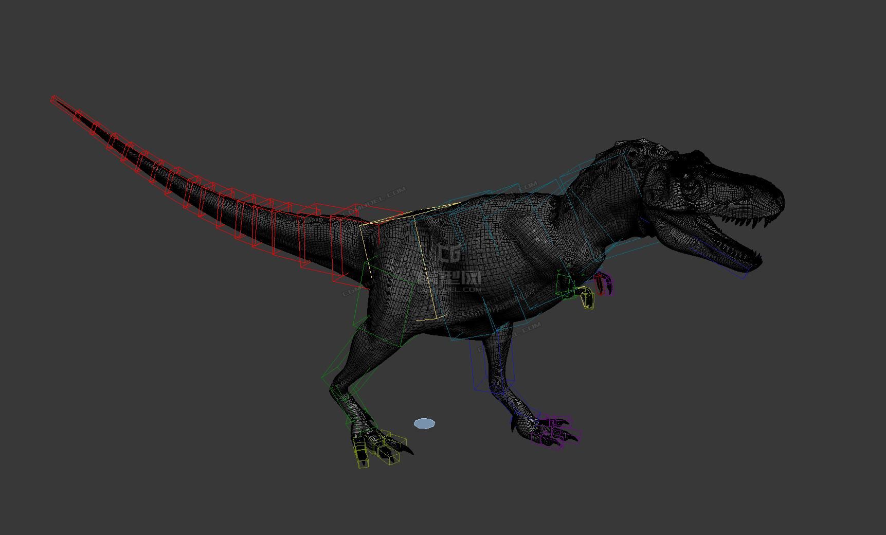 次时代食肉恐龙暴龙带动画