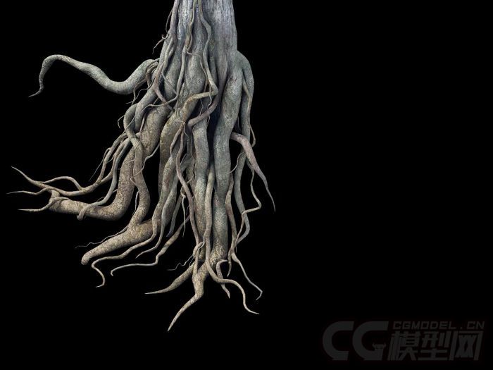 枯萎树根模型-自然场景模型库-模型下载-cg模型网