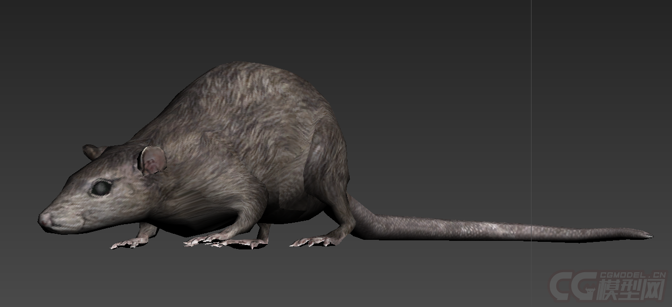 写实大老鼠没有绑定