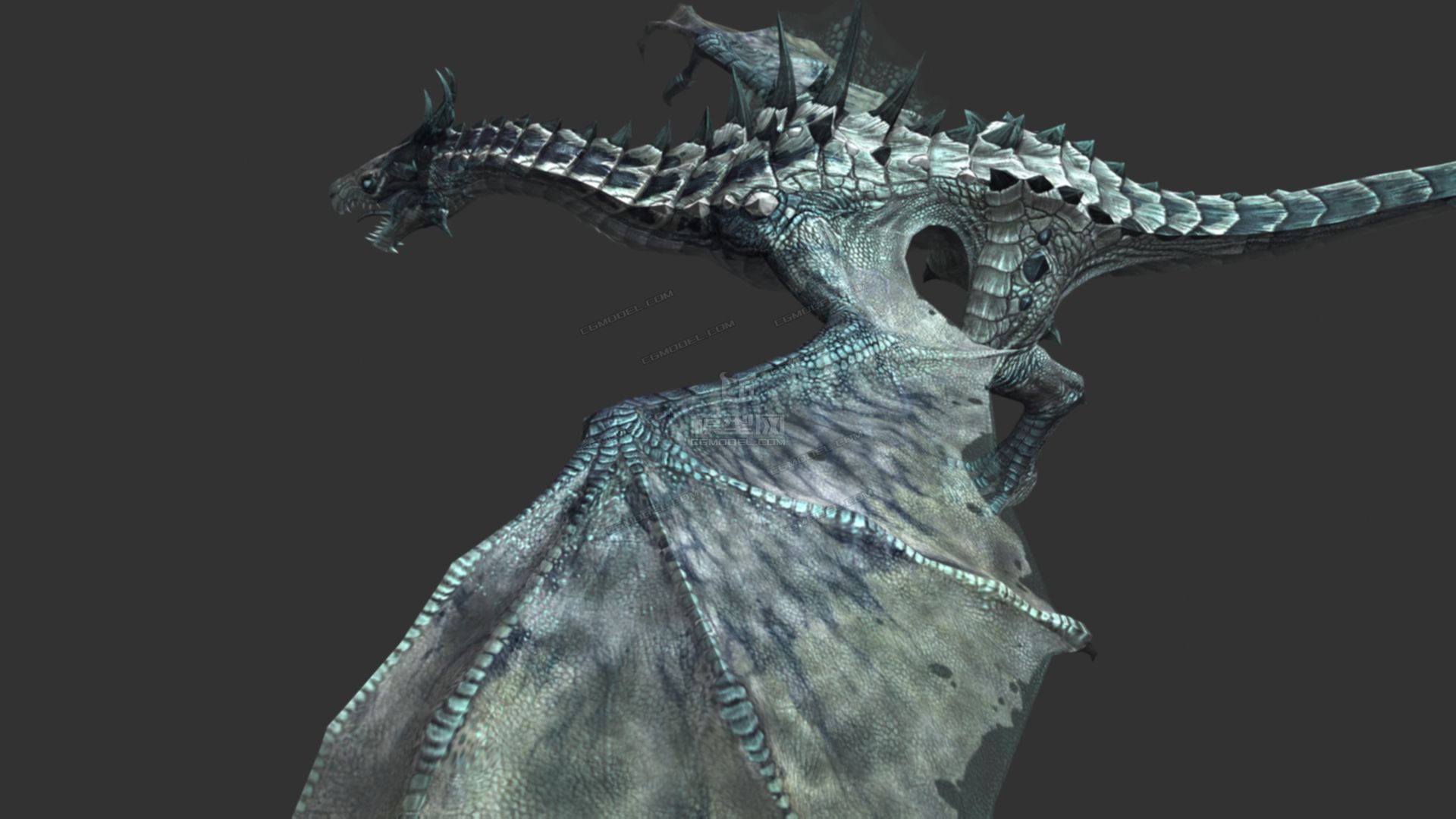 西方龙,冰龙,飞龙,max9