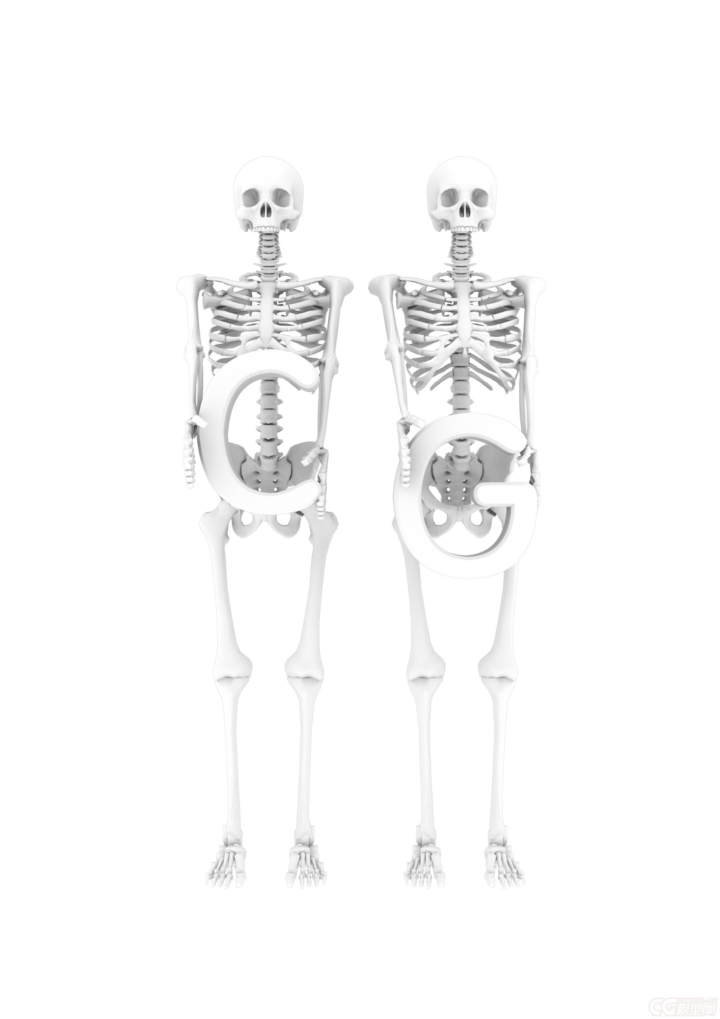 人体骨头模型源文件
