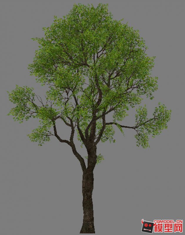 102颗树木写实端游模型