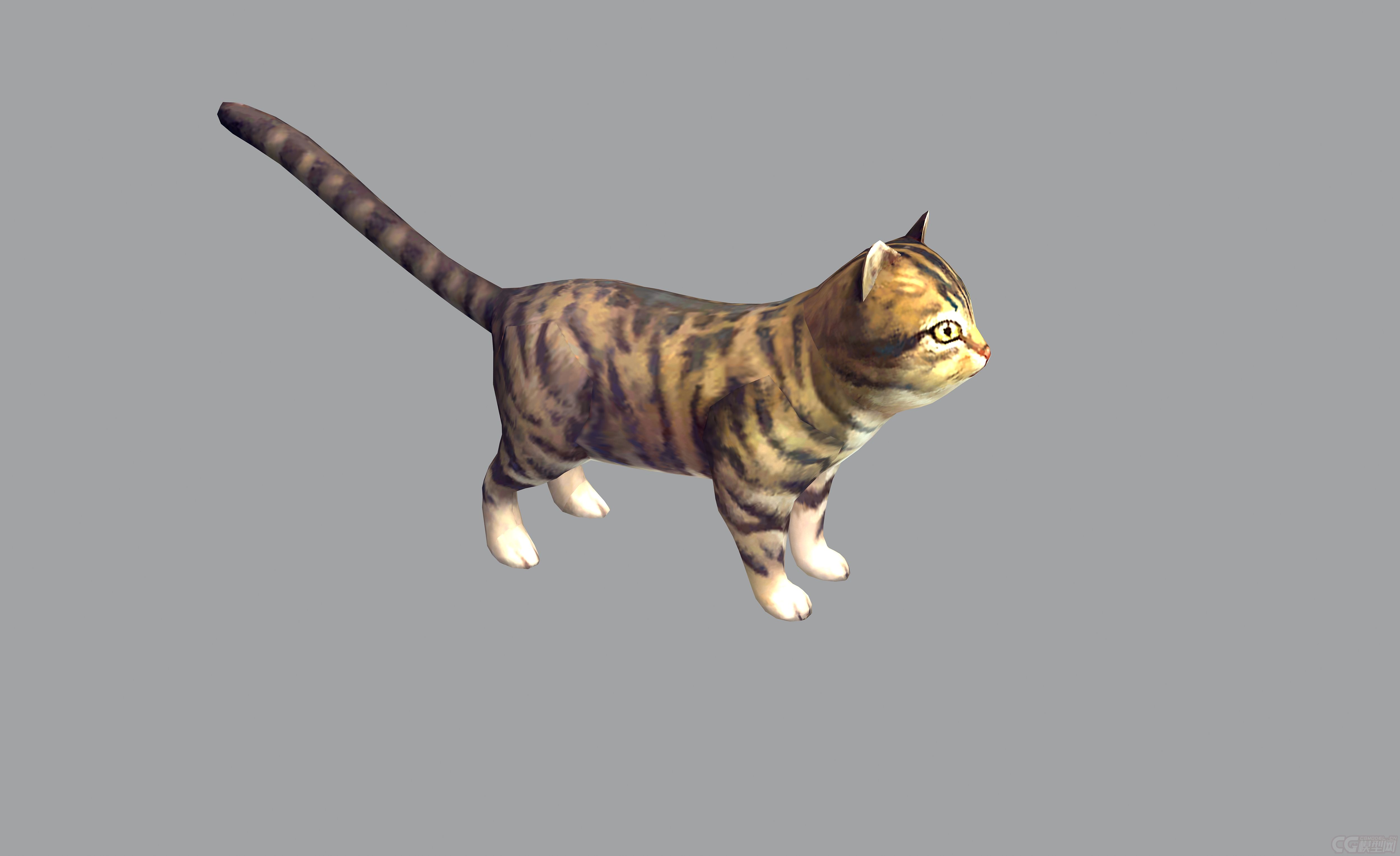 高精度花猫喵星人一只_znzf168作品_动物哺乳_cg模型网