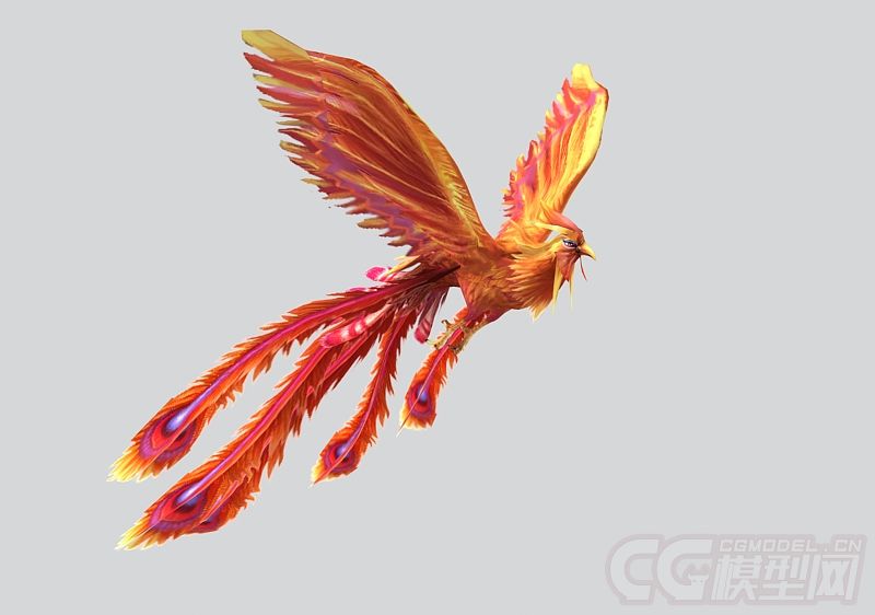 红凤凰 红鸟带动画